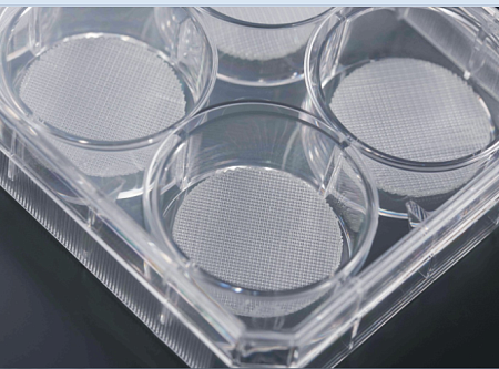 3D-каркасы для культивирования клеток CellSCAFLD®